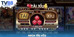 Hack Tài Xỉu - Tool Miễn Phí Hỗ Trợ Chiến Lược Chơi Hiệu Quả